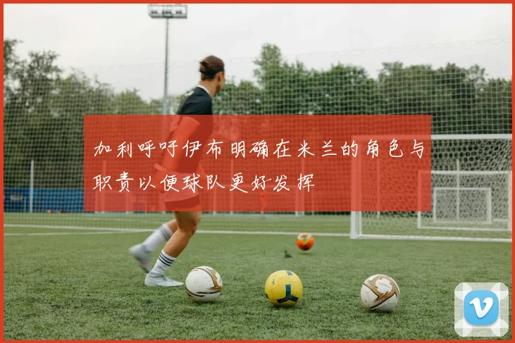 加利呼吁伊布明确在米兰的角色与职责以便球队更好发挥