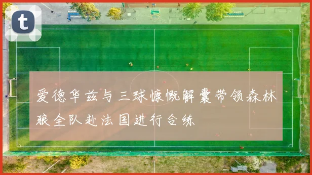 爱德华兹与三球慷慨解囊带领森林狼全队赴法国进行合练