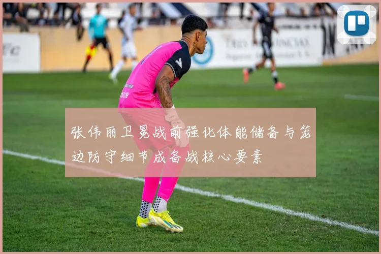 张伟丽卫冕战前强化体能储备与笼边防守细节成备战核心要素